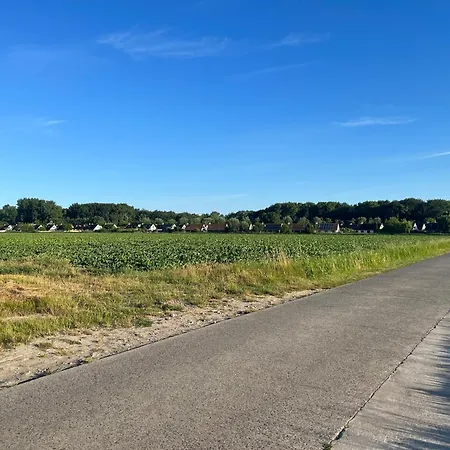 Holiday home Aan De Zee Duinendaele *