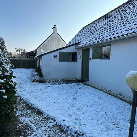 Aan De Zee Duinendaele Holiday home